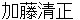 katoukiyomasa