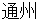 tsuushyuu