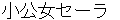 shyoukoujyoseera
